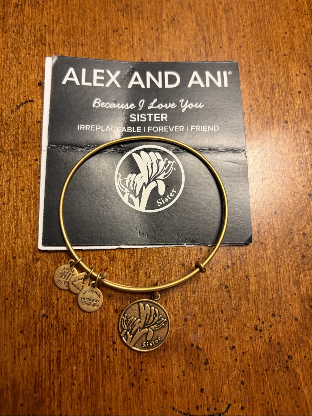 Alex and Ani Gold 'Sister' Charm Bangle Bracelet